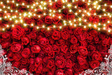 Rote Rosen beleuchten Dekorations Blumen Hintergrund M-59