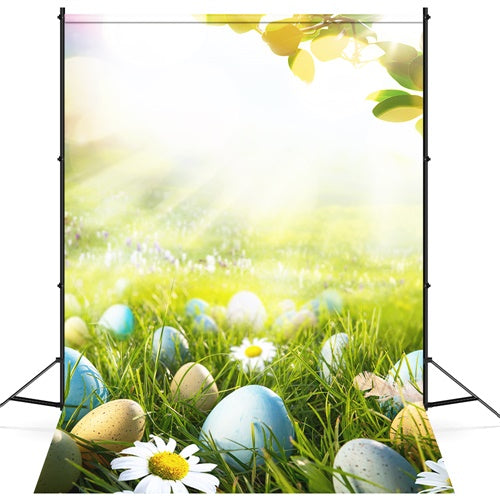 Osterei Gänseblümchen Sonnenschein Blatt Rasen Hintergrund M1-53
