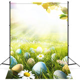 Osterei Gänseblümchen Sonnenschein Blatt Rasen Hintergrund M1-53