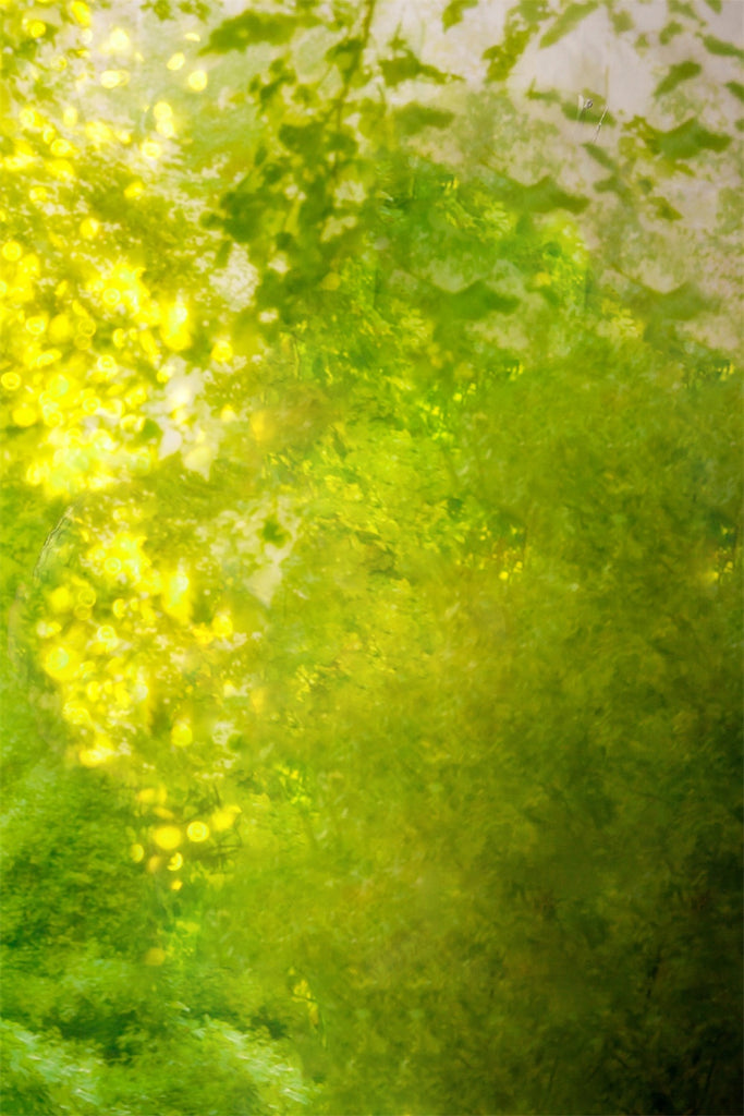 Frühling Kunst Schatten der grünen verflochten durch Sonnenlicht Hintergrund M1-61
