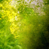 Frühling Kunst Schatten der grünen verflochten durch Sonnenlicht Hintergrund M1-61