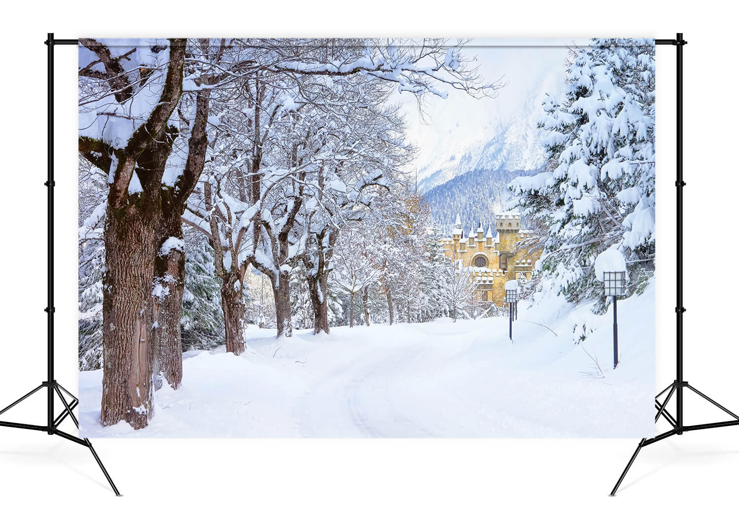 Winter Snowy Trees Road Castle Hintergrund M11-12