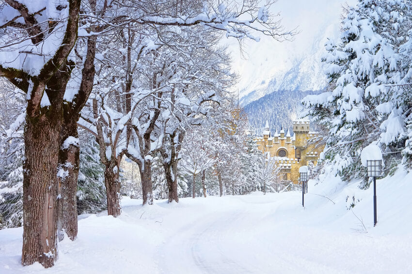 Winter Snowy Trees Road Castle Hintergrund M11-12