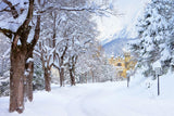 Winter Snowy Trees Road Castle Hintergrund M11-12