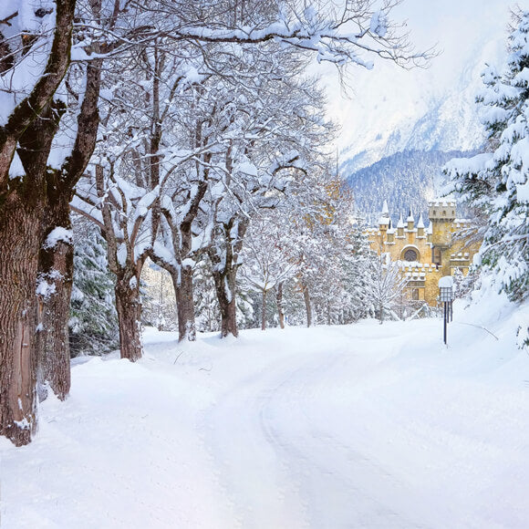 Winter Snowy Trees Road Castle Hintergrund M11-12