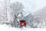 Winter Schnee bedeckt Wald Zug Hintergrund M11-30