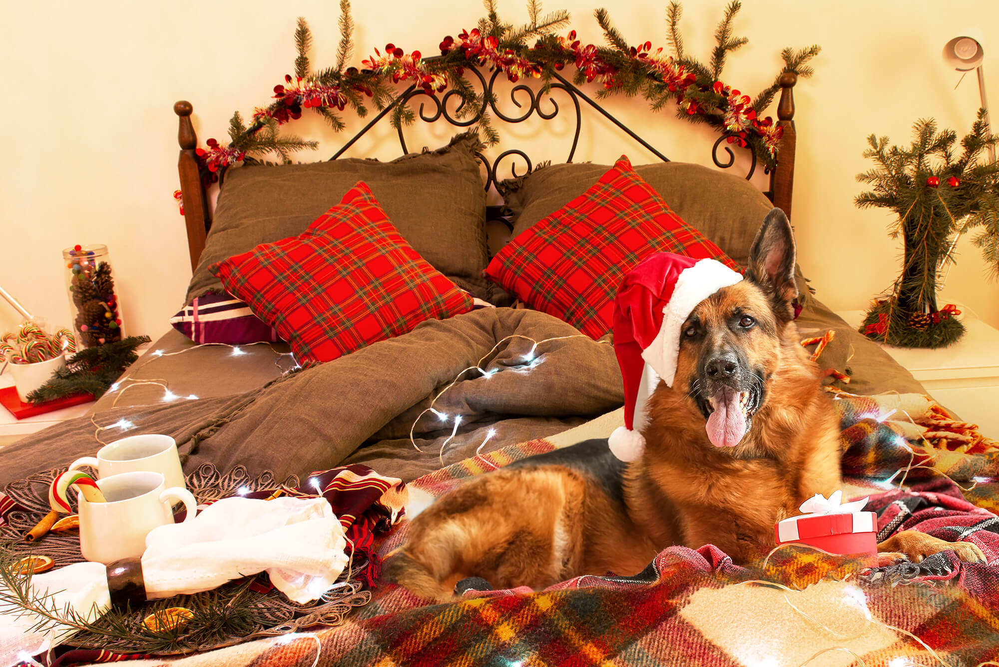 Weihnachten dekoriert Innenraum Bett Hintergrund M11-33