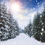 Winterwald Schneefall Sonnenlicht Landschaft Hintergrund M11-45