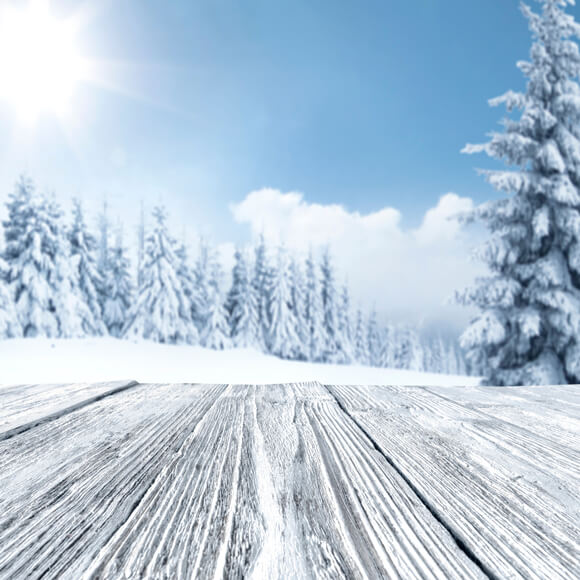 Winter verschneite Bäume Wald Landschaft Hintergrund M11-48