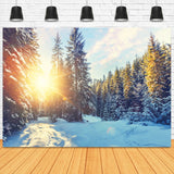 Winterwald Schnee Sonnenschein Landschaft Hintergrund M11-63