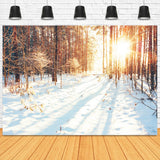 Winter Wald Pfad Sonnenlicht Schnee Hintergrund M11-64