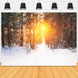 Winter Wald Sonnenaufgang Glühen Landschaft Hintergrund M11-65