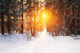 Winter Wald Sonnenaufgang Glühen Landschaft Hintergrund M11-65