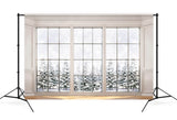 Winter Snowy Day Glasfenster Schnee bedeckt Holly Baum Hintergrund M12-01