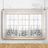Winter Snowy Day Glasfenster Schnee bedeckt Holly Baum Hintergrund M12-01