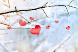 Valentinstag Winter verschneiten Baum Zweig Liebe hängende Dekoration Hintergrund M12-17