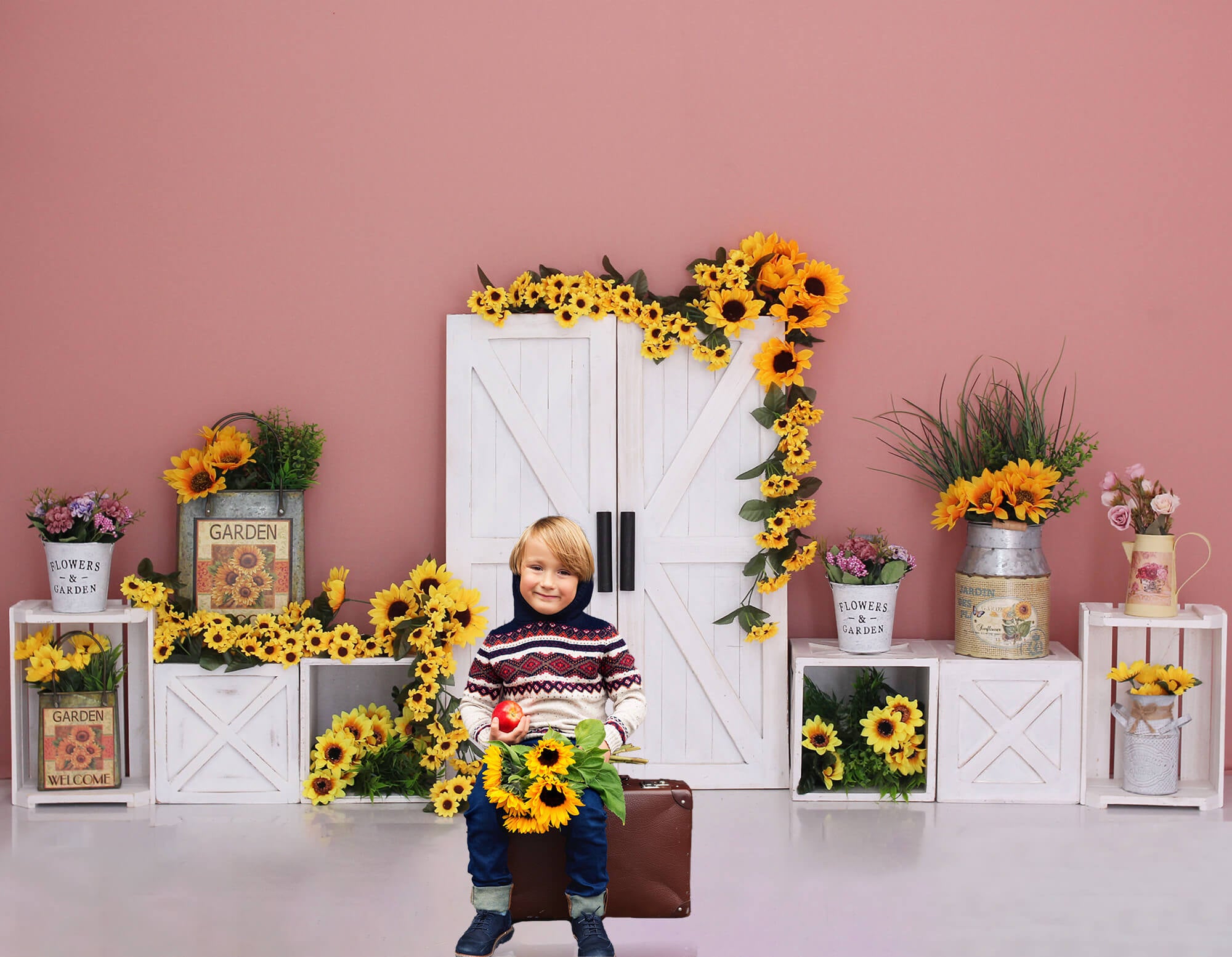 Sonnenblumen Garten Scheunentor Fotografie Hintergrund M5-137