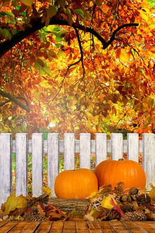 Ahornblätter Zaun Kürbisse Herbst Hintergrund M6-103