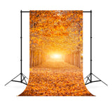 Herbstwald Sonnenschein Ahornbäume Hintergrund M6-104