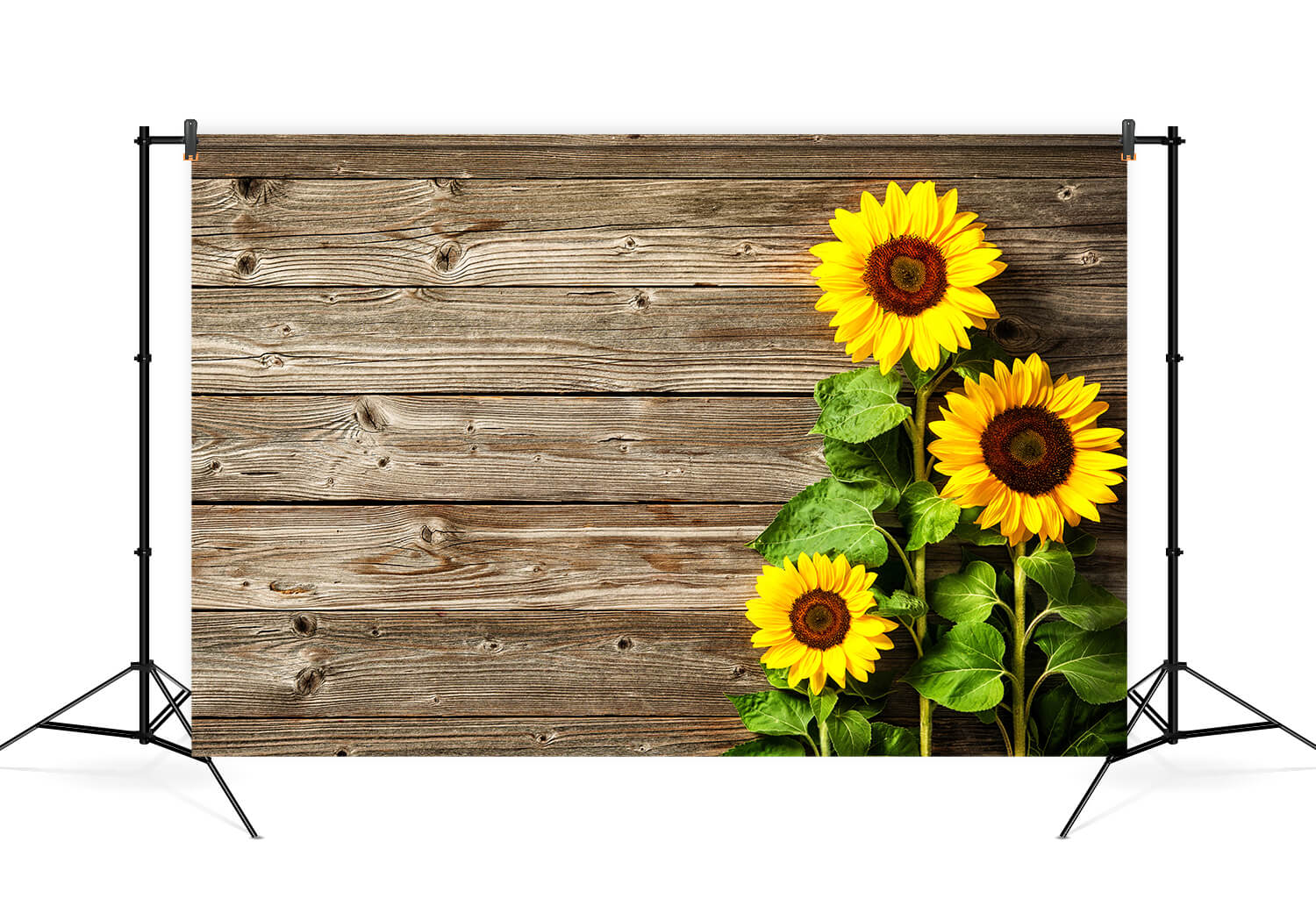 Sonnenblume Vintage Holz Fotografie Hintergrund M6-13