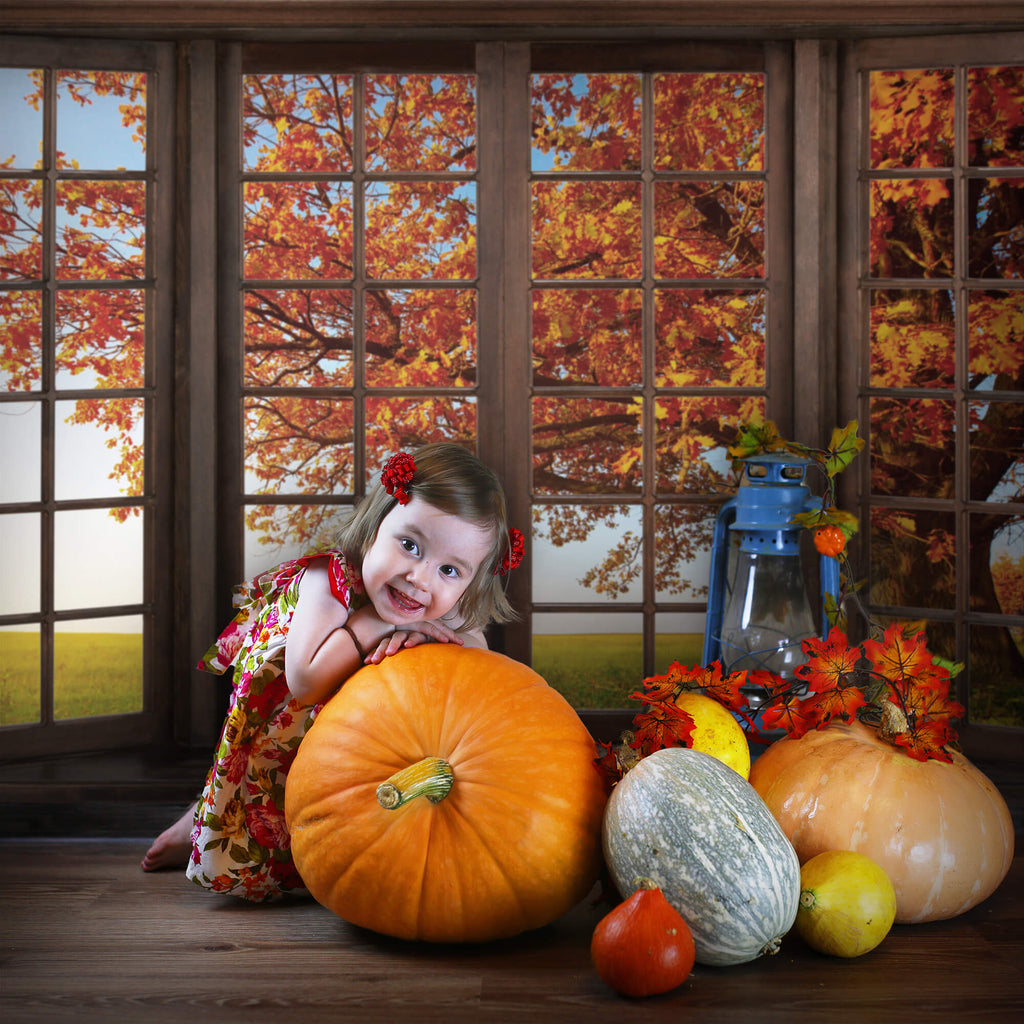 Herbstliche Ahornblätter Fensteransicht Hintergrund M6-40