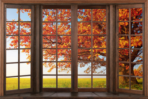 Herbstliche Ahornblätter Fensteransicht Hintergrund M6-40