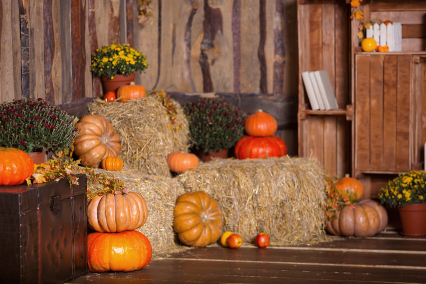 Herbst Scheunen Kürbis Stroh Thanksgiving Hintergrund M6-47