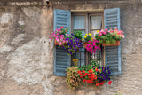 Vintage Fenster Hintergrund mit Bunten Blumen  M6-81
