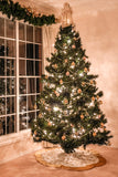 Weihnachtsabend Dekor Beleuchtungs Baum Hintergrund M7-17