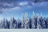 Hintergrundbild Wald mit schneebedeckten Bäumen Sternenhimmel Winter M7-24