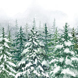 Leinwand Hintergrundbild Schneelandschaft Winter Pinienwald M7-43