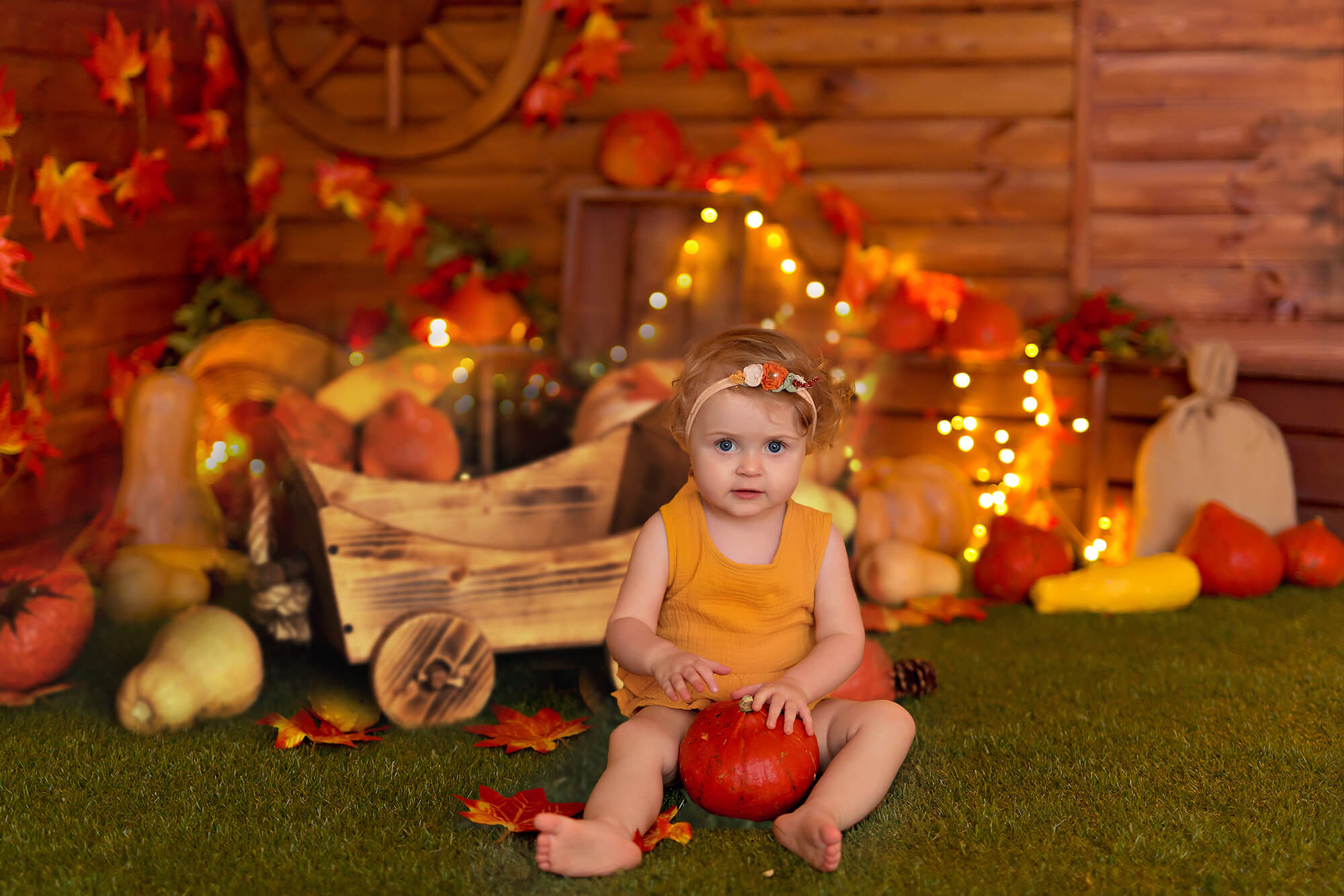 Thanksgiving Kürbisse Herbst Fotografie Hintergrund M7-82