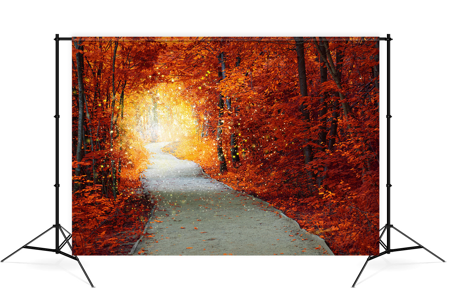 Leinwand Hintergrundbild Herbstwald Magischer Weg Landschaft M7-85