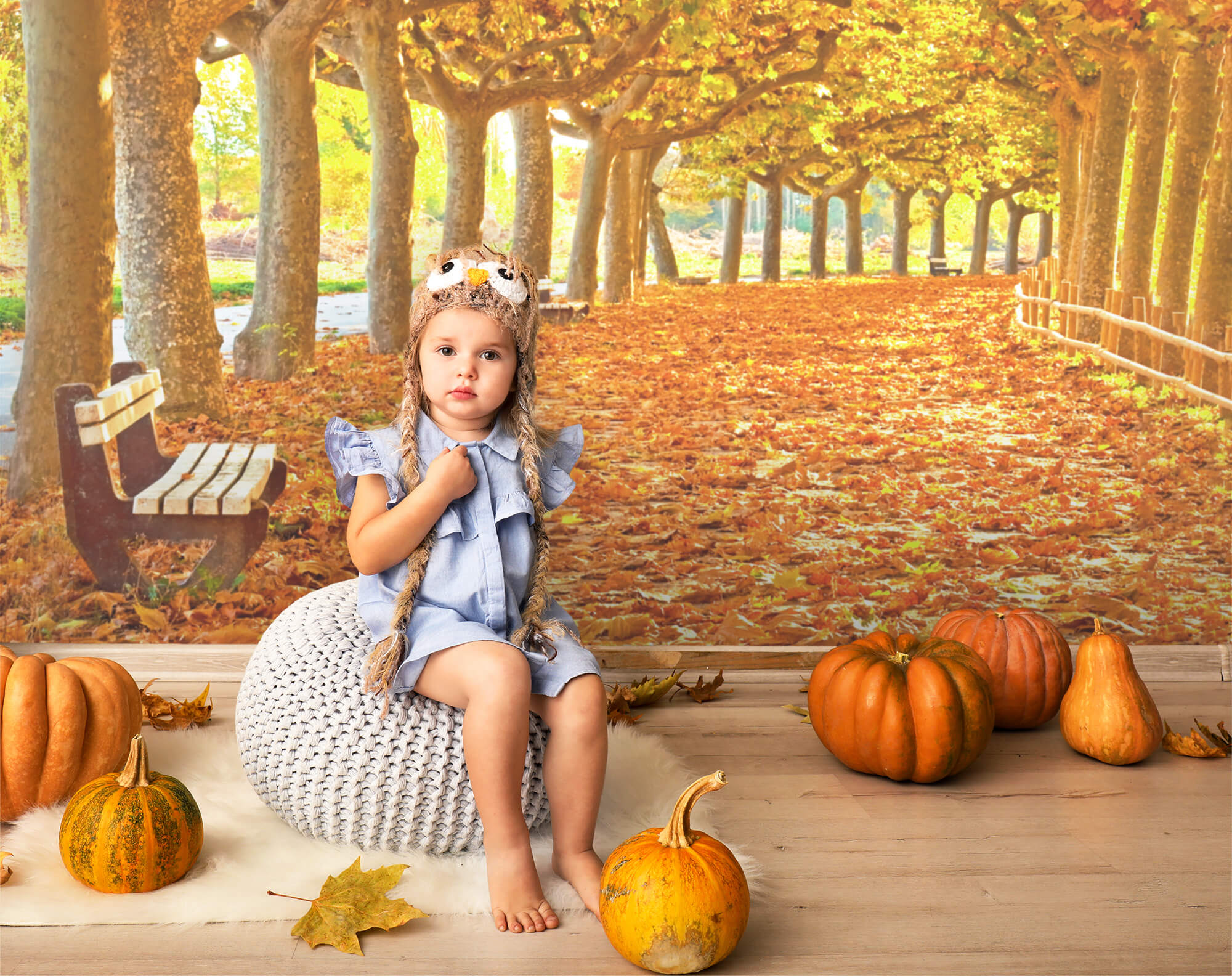 Herbst Ahornblätter Pfad Fotografie Hintergrund M8-29