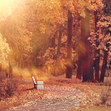 Herbst Park Ahornbaum Blätter Hintergrund M8-34