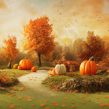 Herbstlandschaft Kürbisse Fotokulisse M8-46