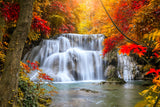 Ahornblätter Wasserfall Herbst Landschaft Hintergrund M8-52