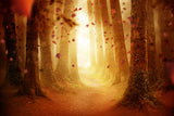 Herbst Wald Weg fallenden Blättern Hintergrund M9-31