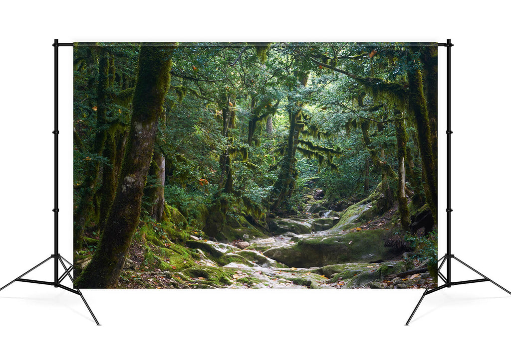 Leowefowa Fotohintergrund 3x2,5 M – Halloween & Party-Deko, Aus Polyester, Waschbar