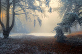 Verschneiter Wald Winter Natur Landschaft Kulisse M9-59