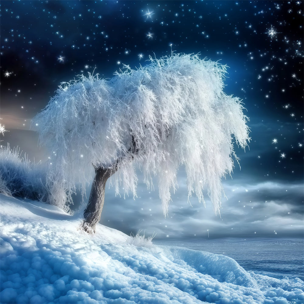 Winterwald Hintergrund Schneefall Gelassenheit Hain Foto Hintergrund MRR7-106