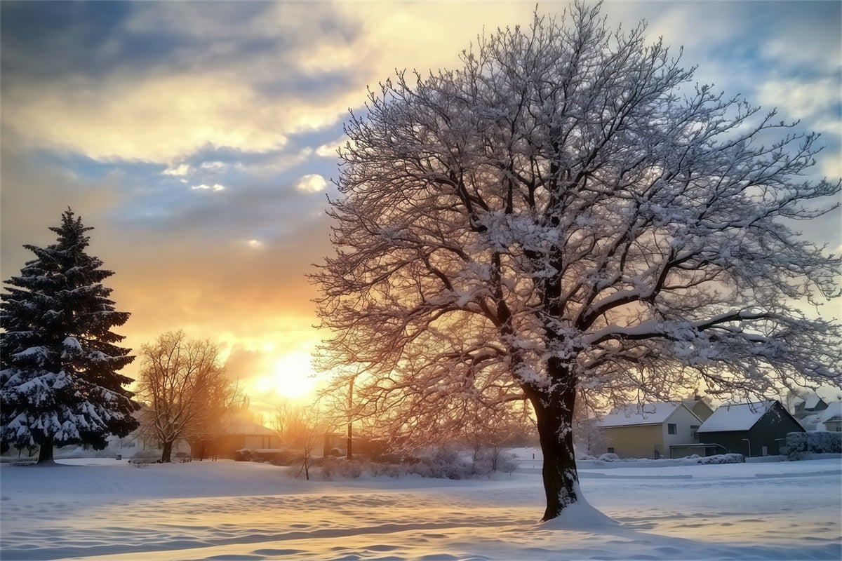 Backdrop Wald Winter Sonnenuntergang Gelassenheit Foto Hintergrund MRR7-107