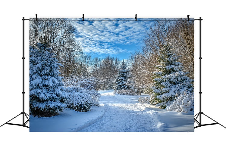 Winter Backdrops Klarer Himmel Schneeweg Backdrop MRR7-151
