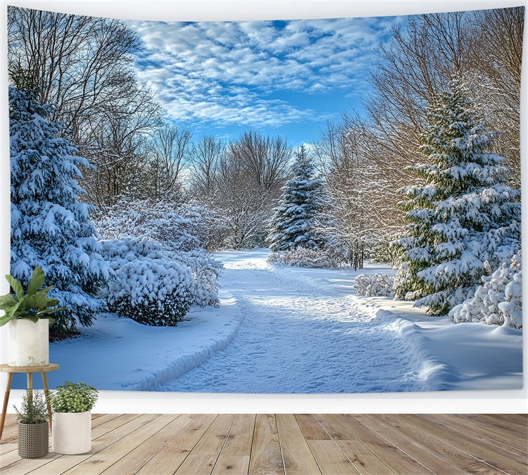 Winter Backdrops Klarer Himmel Schneeweg Backdrop MRR7-151