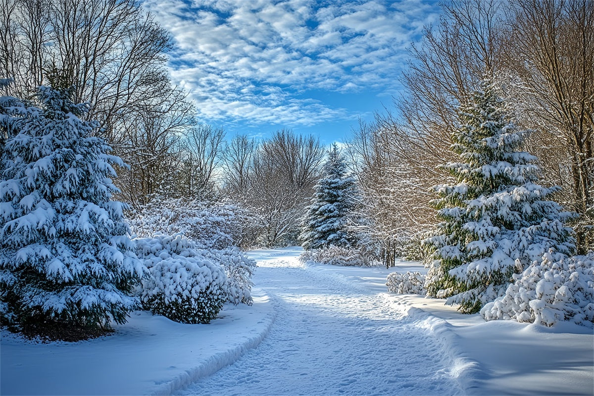 Winter Backdrops Klarer Himmel Schneeweg Backdrop MRR7-151