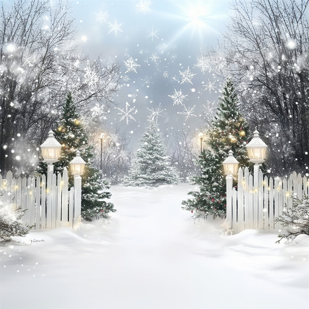 Schneeflocken Backdrop Sparkle Pine Welcome Backdrop MRR7-155