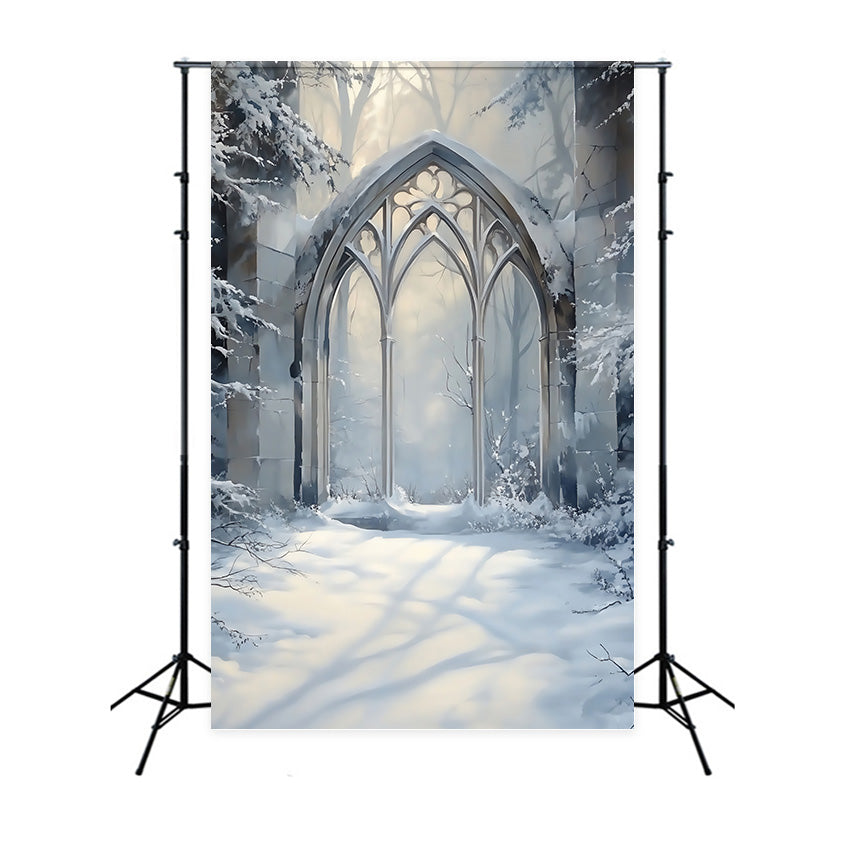 Winter Fotokulisse Frosted Gothic Arch Hintergrund MRR7-179