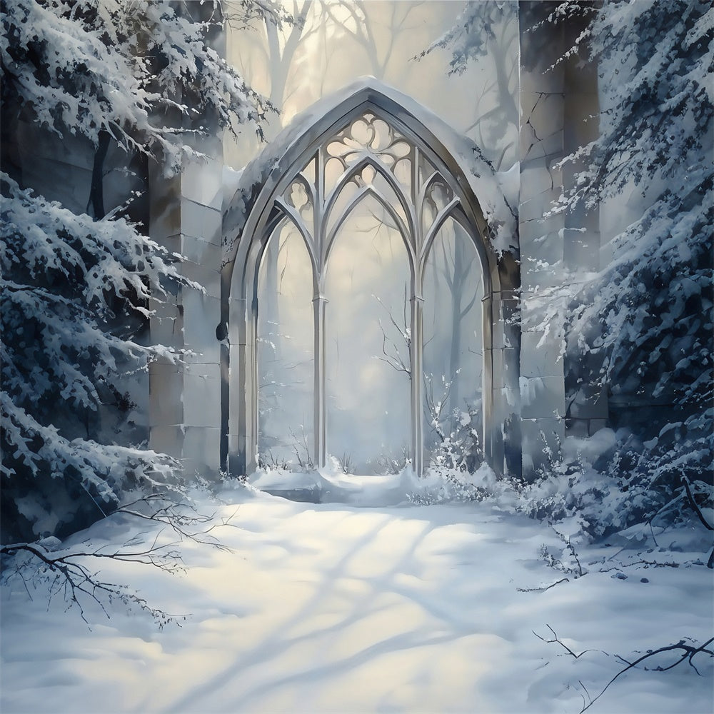 Winter Fotokulisse Frosted Gothic Arch Hintergrund MRR7-179