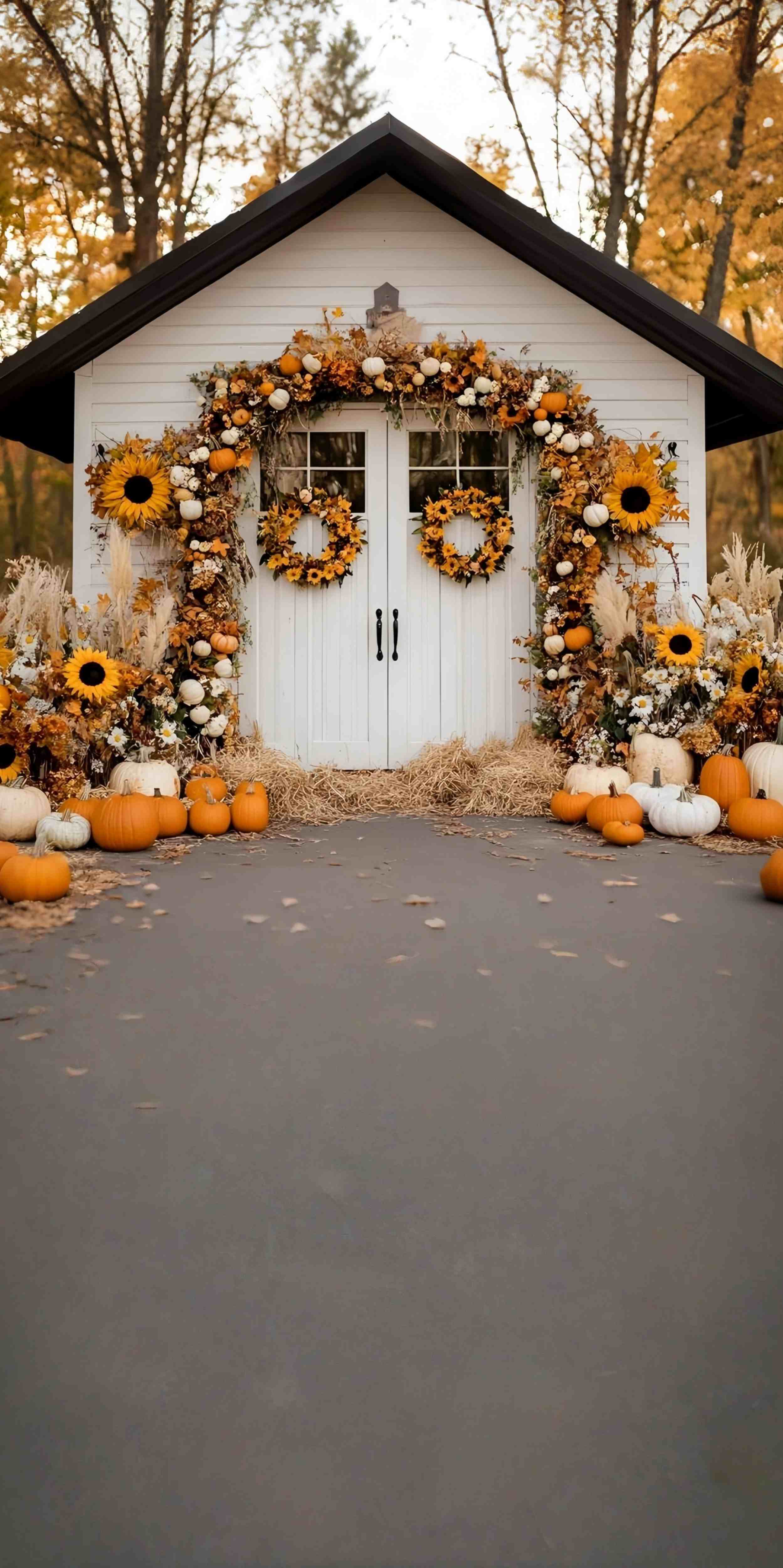 Herbstkulisse für Bilder Sonnenblume Kürbis Landhaus Veranda Sweep Fotohintergrund MRR8-79