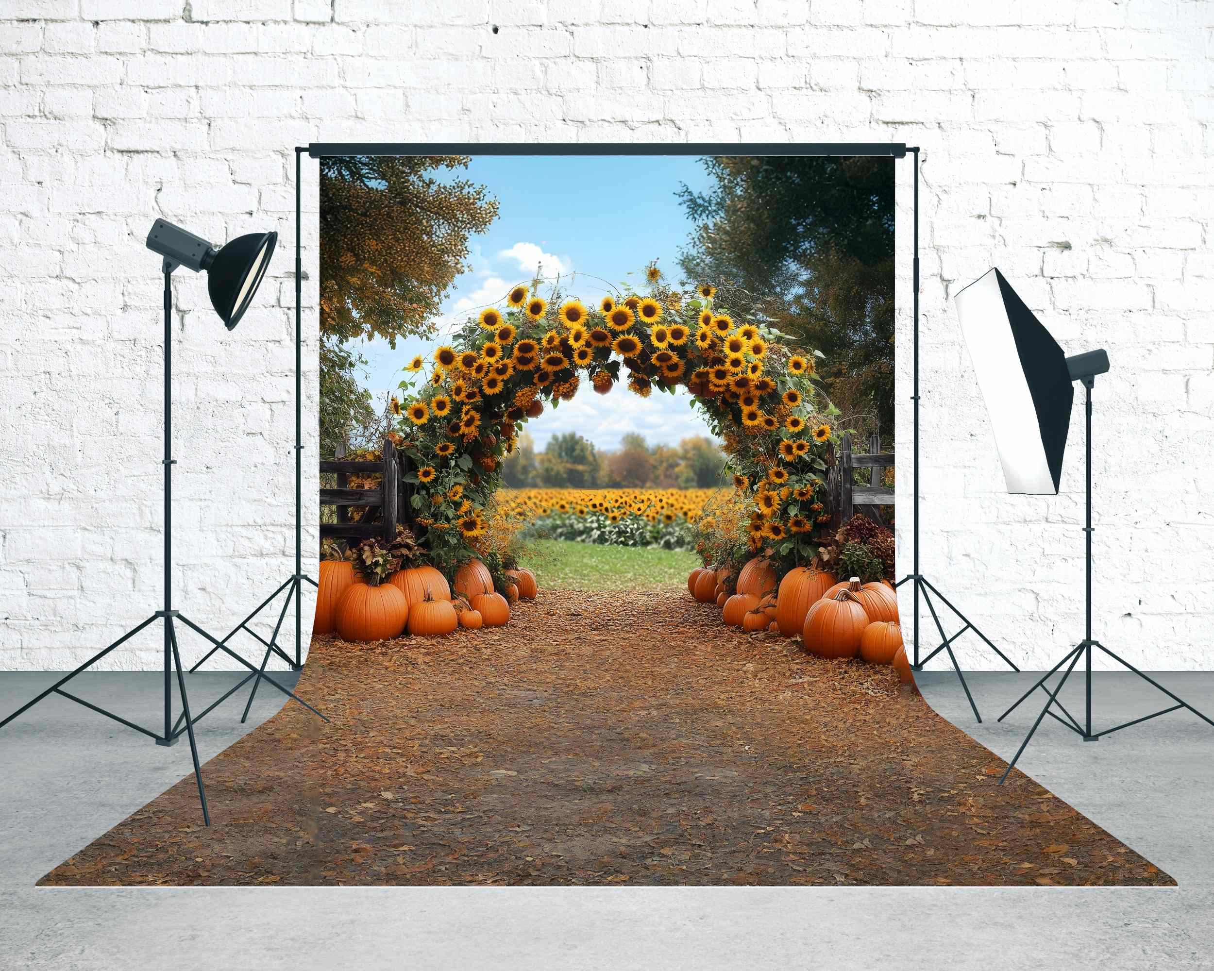 Herbst-Fotohintergrund Sonnenblume Kürbis Torbogen Sweep-Fotohintergrund MRR8-86